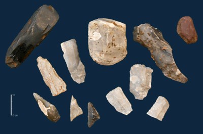 Fig. 6 : Trilogiport. Echantillonnage de silex préhistoriques.