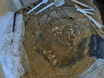 Fig. 5: Trilogiport. Nécropole à Incinération. Dépôt funéraire en cours de fouille.