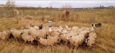 ©Luscinia Nature Str  TR 6 FINAL.jpg