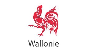 Logo Wallonie