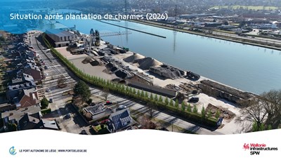 26930-PAL-PPT-Visu_arbres-Flemalle-MAJ_01-2026-2