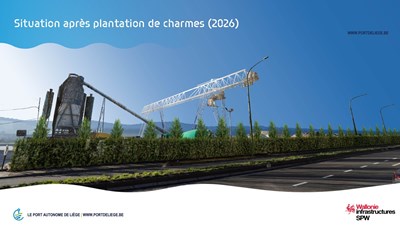 26930-PAL-PPT-Visu_arbres-Flemalle-MAJ_01-2026-5