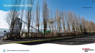 26930-PAL-PPT-Visu_arbres-Flemalle-MAJ_01-2026-4