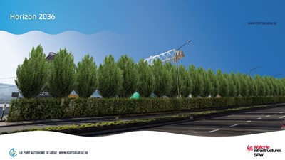 26930-PAL-PPT-Visu_arbres-Flemalle-MAJ_01-2026-6