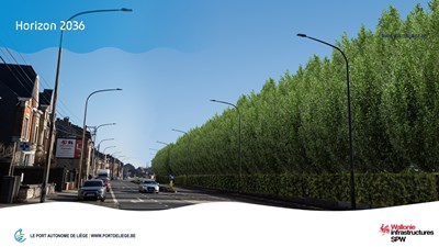 26930-PAL-PPT-Visu_arbres-Flemalle-MAJ_01-2026-9